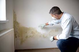 Best HVAC Mold Inspection and Cleaning  in Denison, IA